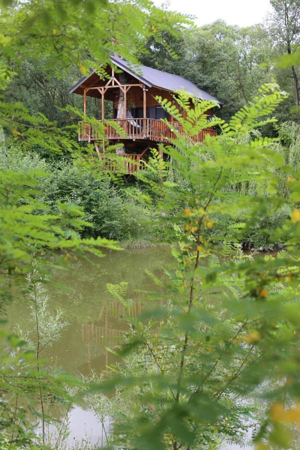 Cuibul Vulturilor - Casuta In Copac Villa Моисей Екстериор снимка