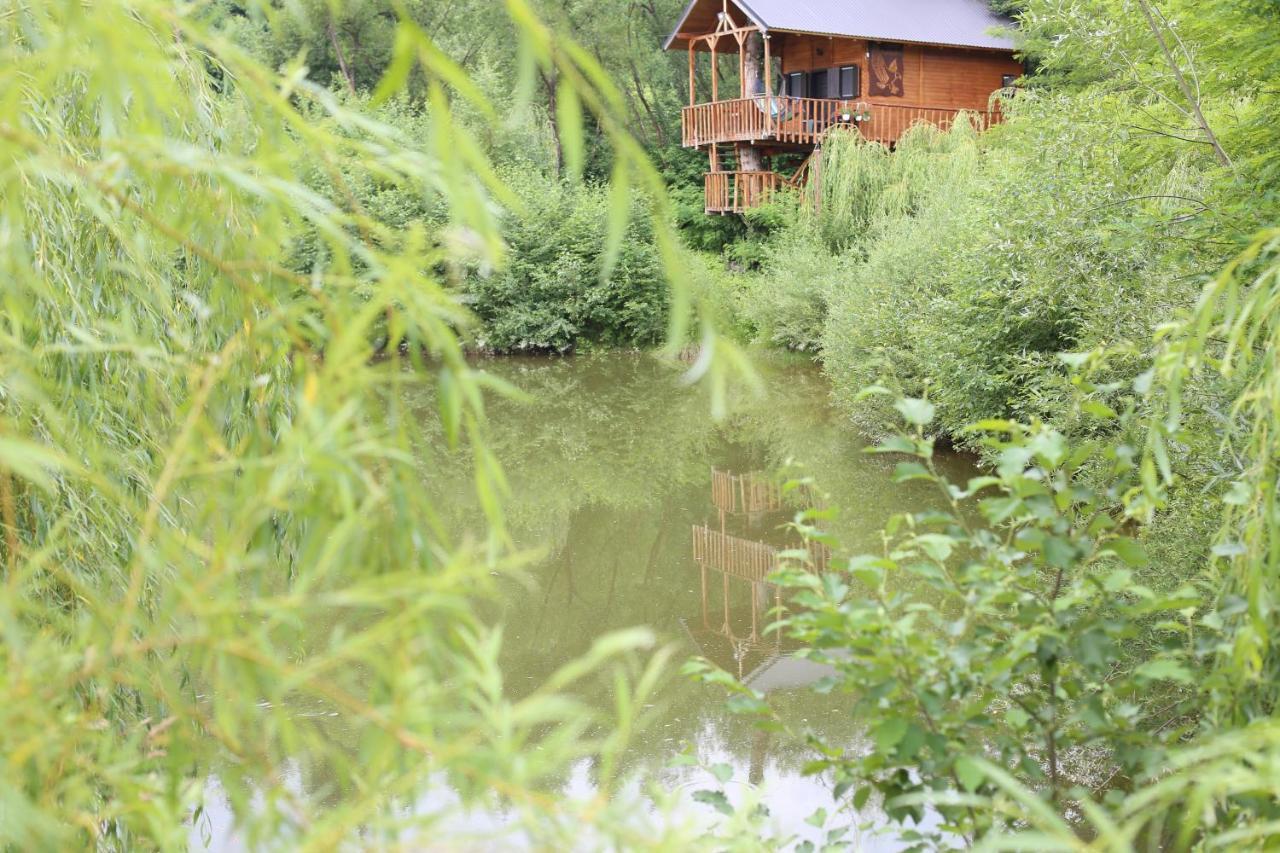 Cuibul Vulturilor - Casuta In Copac Villa Моисей Екстериор снимка