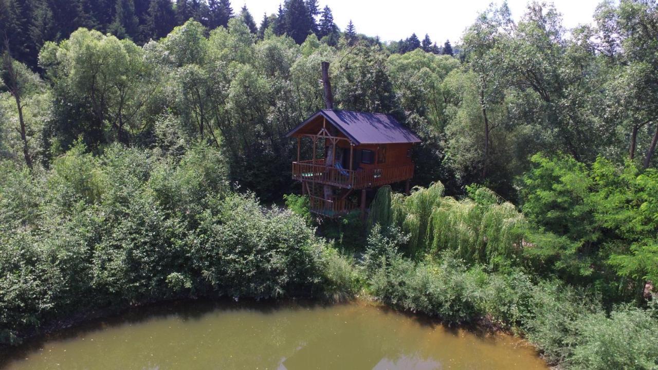 Cuibul Vulturilor - Casuta In Copac Villa Моисей Екстериор снимка