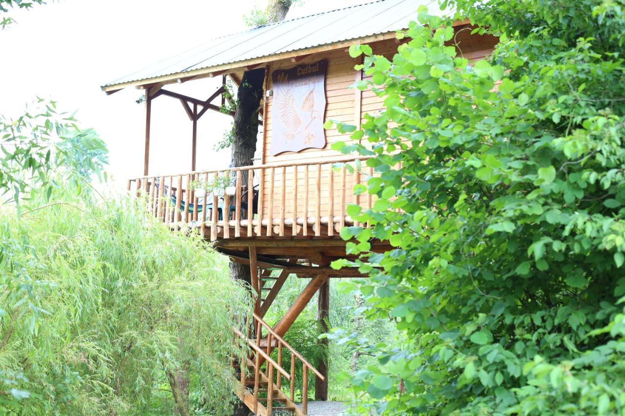 Cuibul Vulturilor - Casuta In Copac Villa Моисей Екстериор снимка